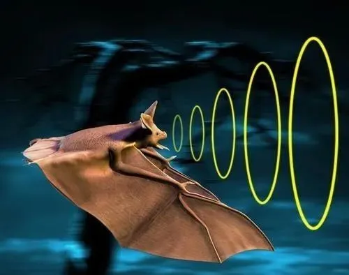 從超聲波到雷達(dá)到相控陣?yán)走_(dá) 雷達(dá)技術(shù)一路升級(jí)打怪